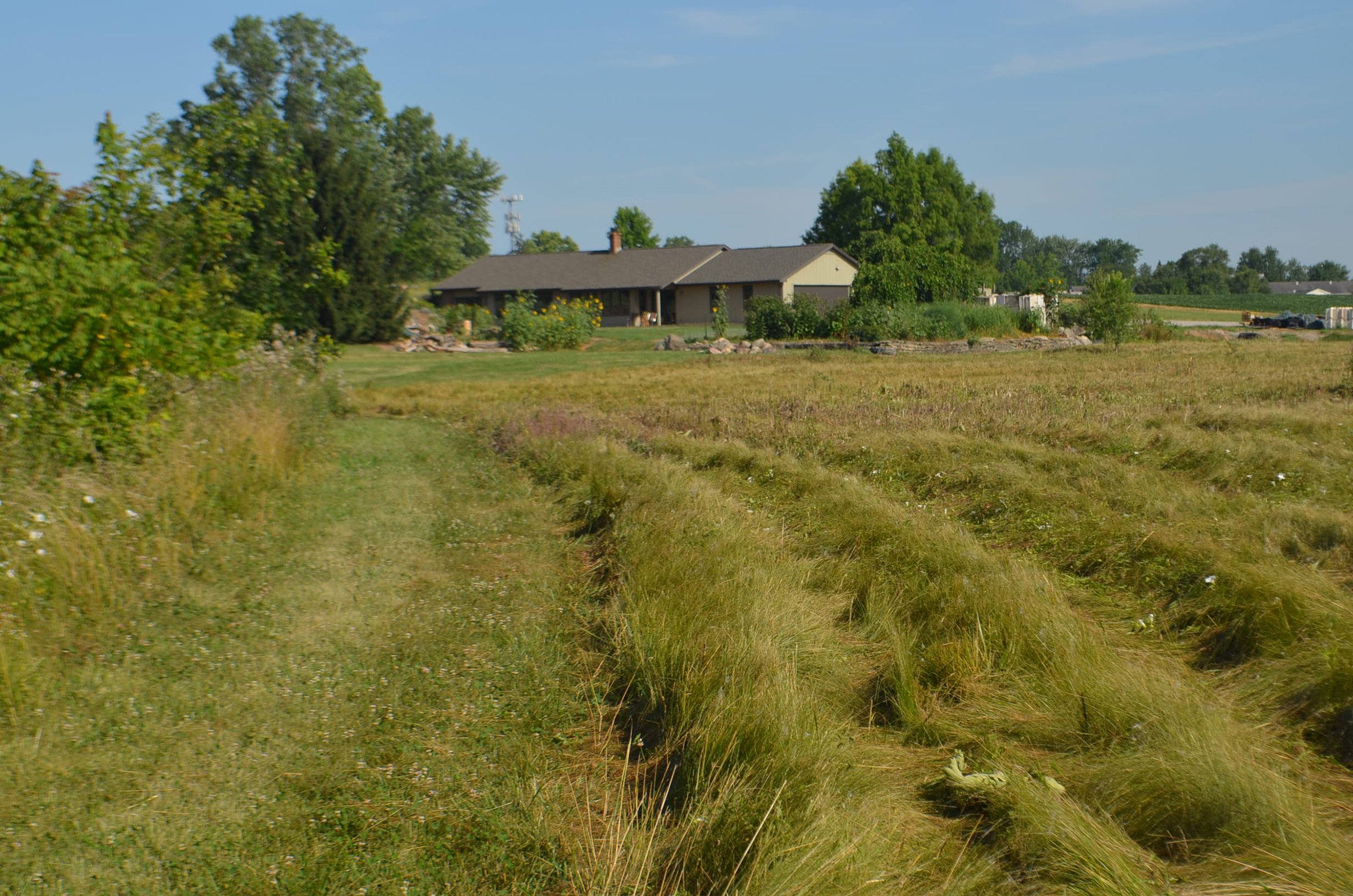 Property photo 13 - REAL ESTATE AUCTION - 26+/- ACRES IN 3 TRACTS IN SOUTHWEST ALLEN COUNTY, INDIANA